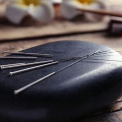praticiens acupuncture lyon